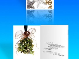 圣誕畫(huà)冊(cè)系列