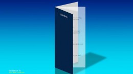 精美畫(huà)冊(cè)